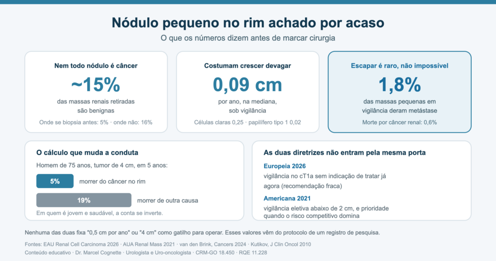 Infográfico sobre nódulo pequeno no rim achado por acaso: cerca de 15% das massas retiradas são benignas, crescimento mediano de 0,09 cm por ano sob vigilância e comparação entre o risco de morrer do câncer renal e de outras causas